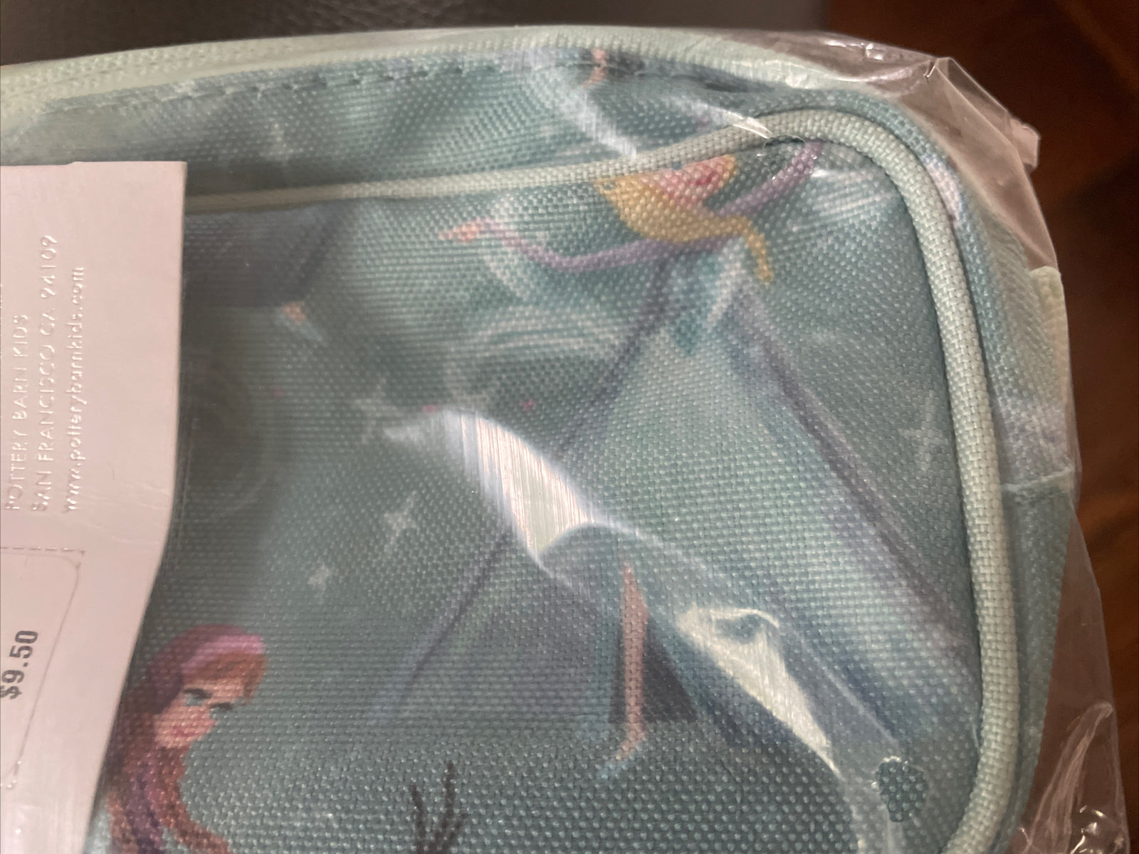Pottery Barn School Disney Frozen Elsa PENCIL CASE bag girl princess travel n