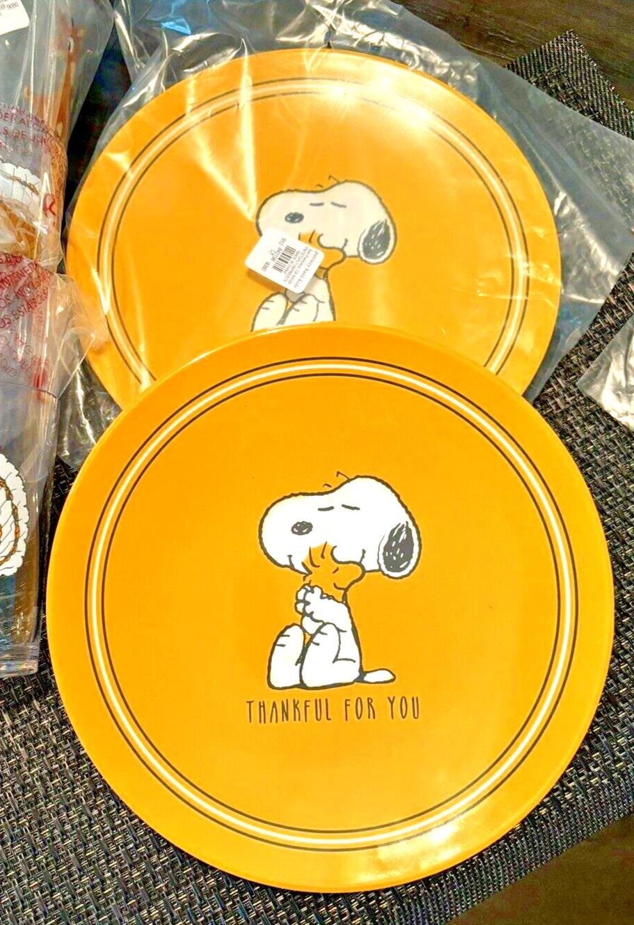 Pottery Barn Snoopy Peanuts kid holiday Thanksgiving party School Disney SET 4 =