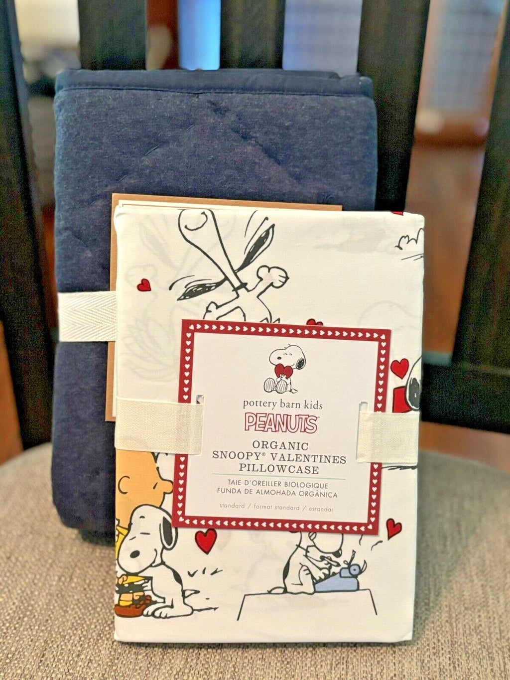 Pottery Barn Snoopy PEANUTs PILLOWCASE+SHAM holiday Disney school kid SET 2  ]