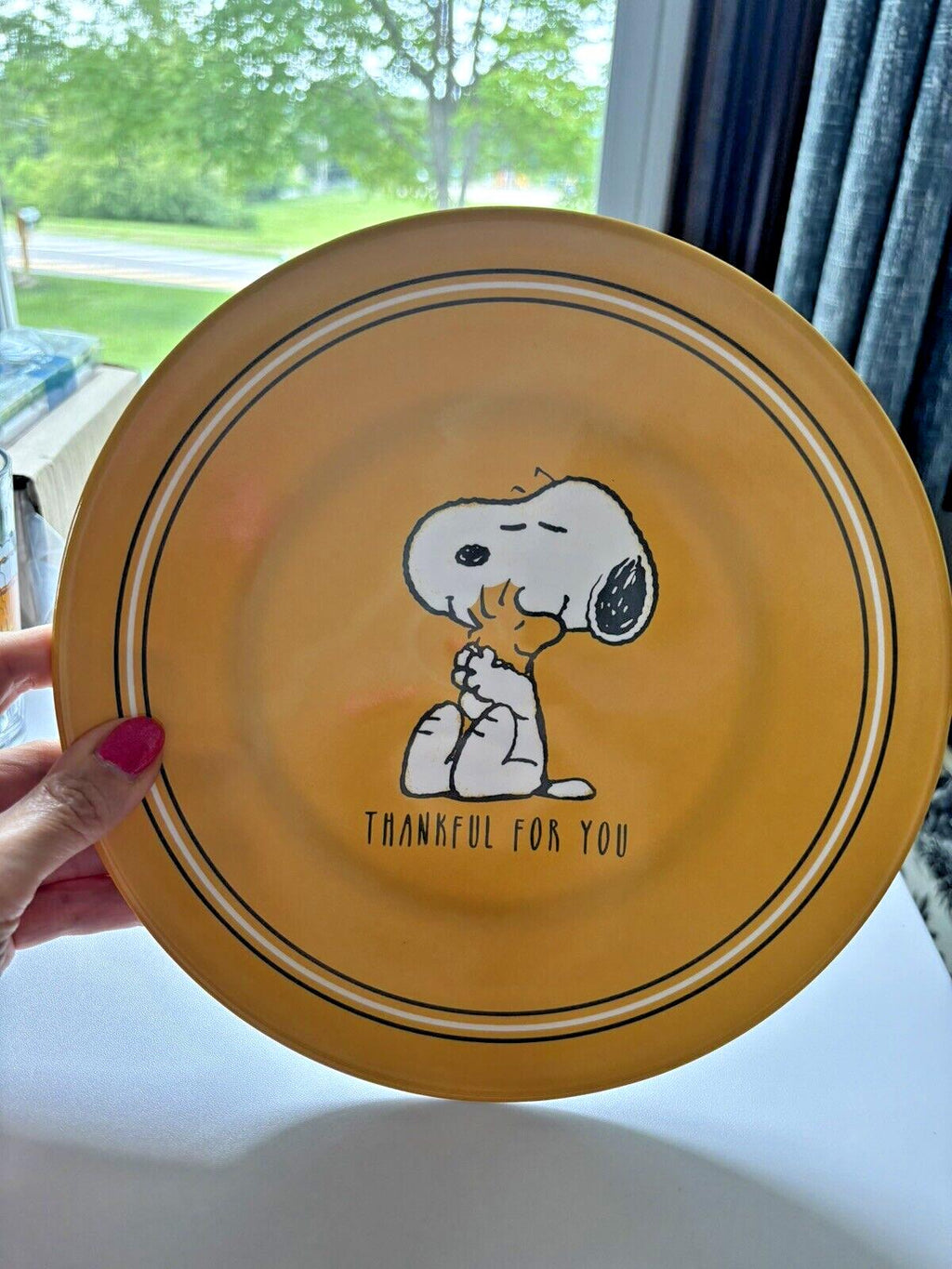 Pottery Barn Snoopy Peanuts kid holiday Thanksgiving party School Disney SET 4 =