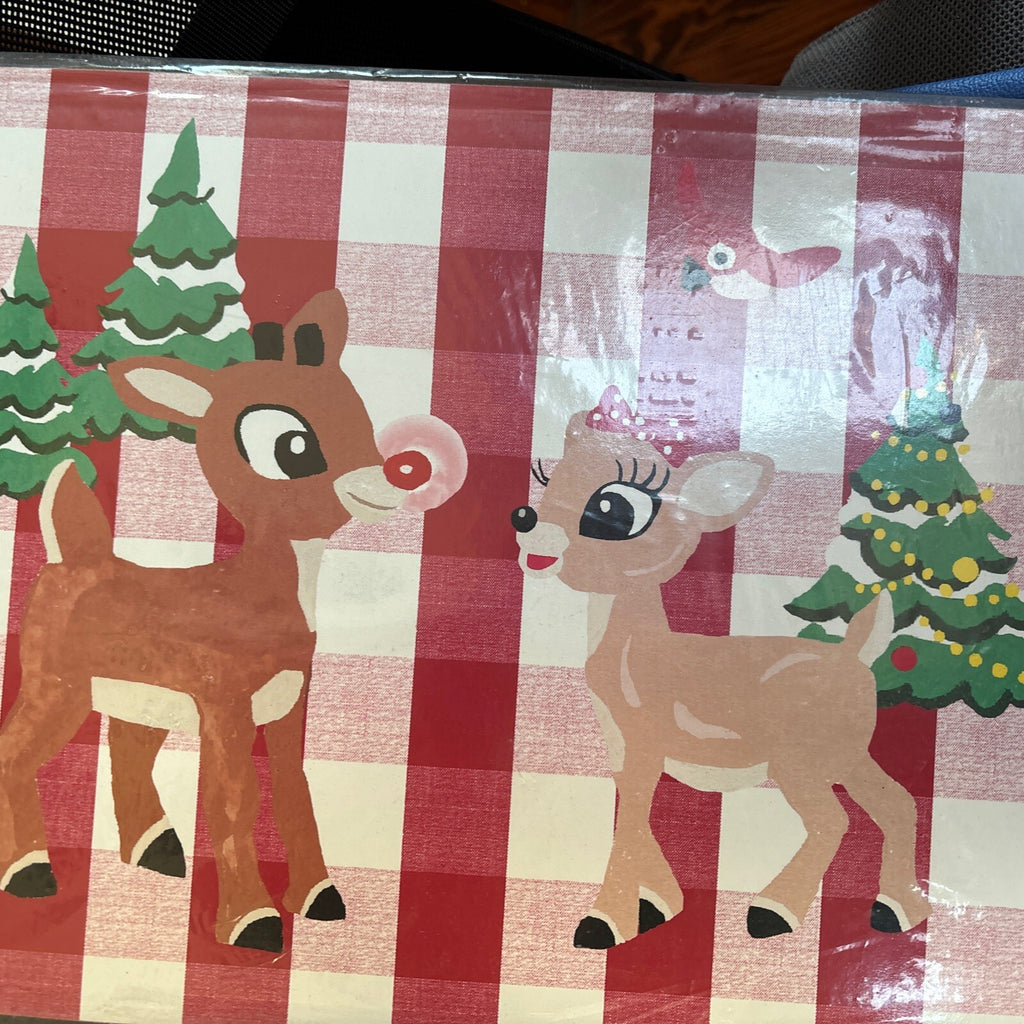 Rudolph holiday Pottery Barn placemat Disney gift sport party school Deer kid n