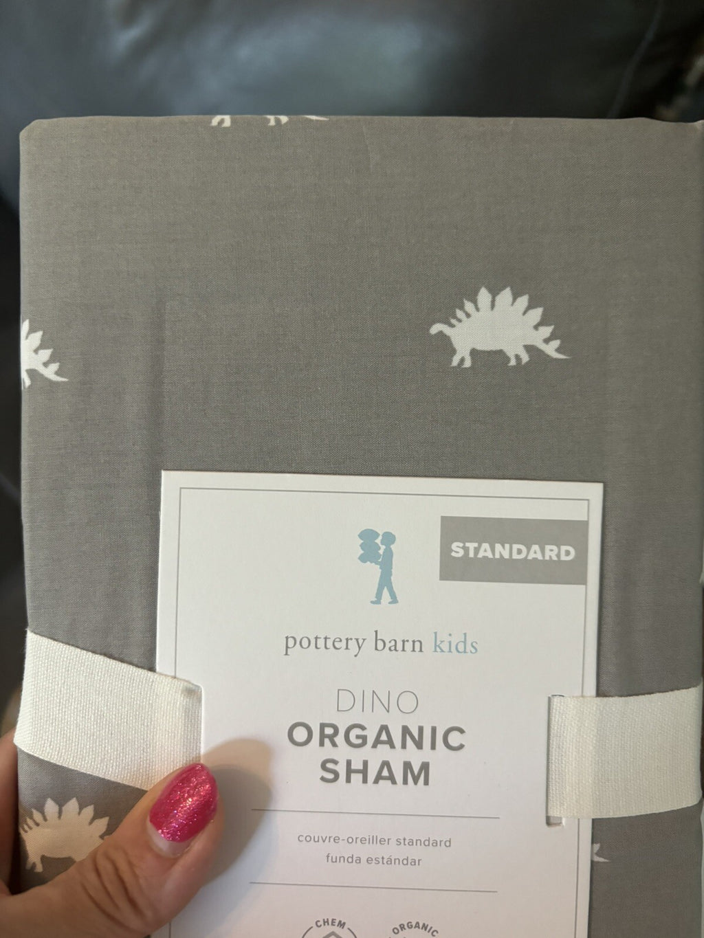 Disney pottery barn Pillow Sham dinosaur school boy Jurassic party star boy -
