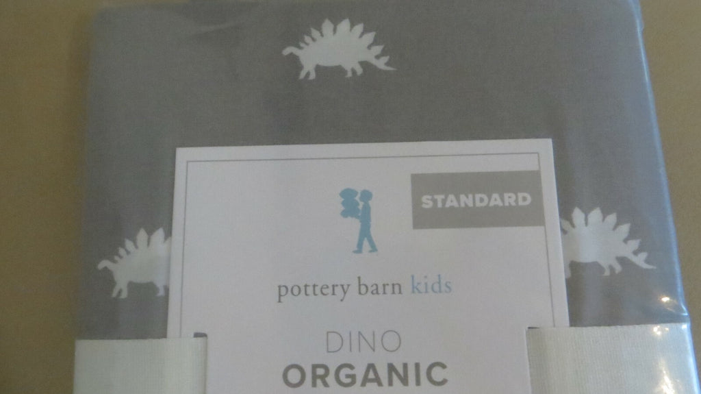 Disney pottery barn Pillow Sham dinosaur school boy Jurassic party star boy -