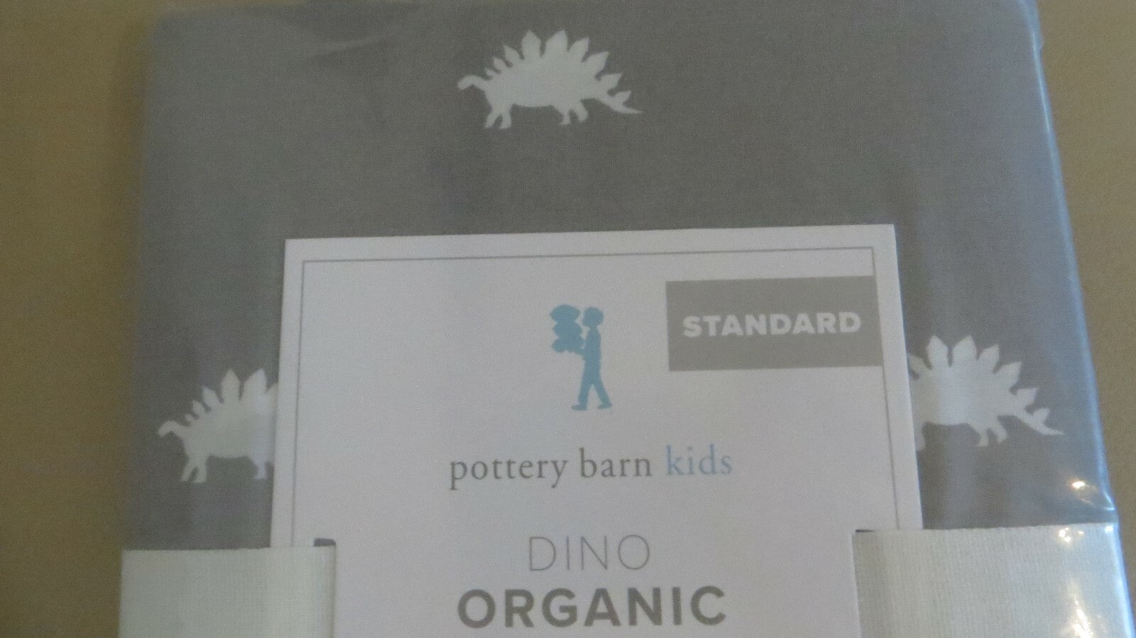 Disney pottery barn Pillow Sham dinosaur school boy Jurassic party star boy -