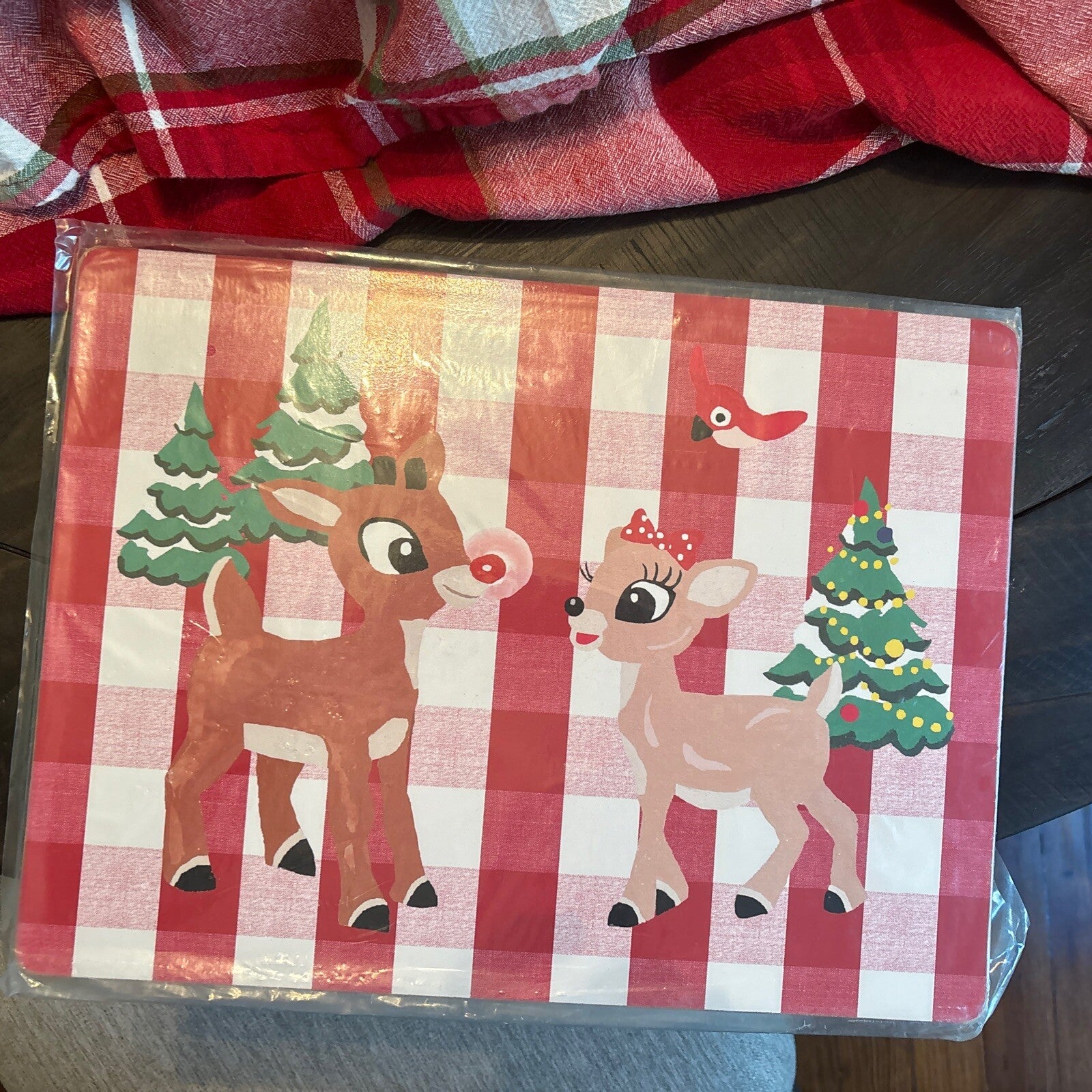 Rudolph holiday Pottery Barn placemat Disney gift sport party school Deer kid n