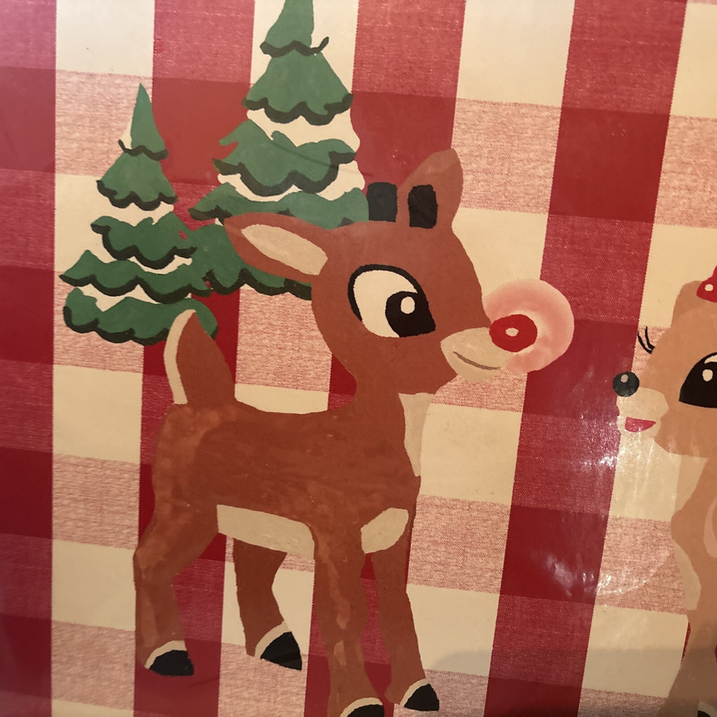 Rudolph holiday Pottery Barn placemat Disney gift sport party school Deer kid n