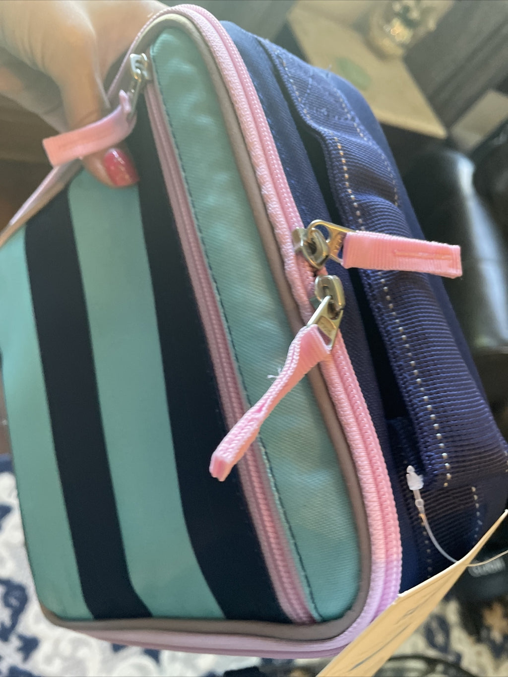 Pottery Barn  School  LUNCH BOX BAg disney travel princess stripe girl pink  =