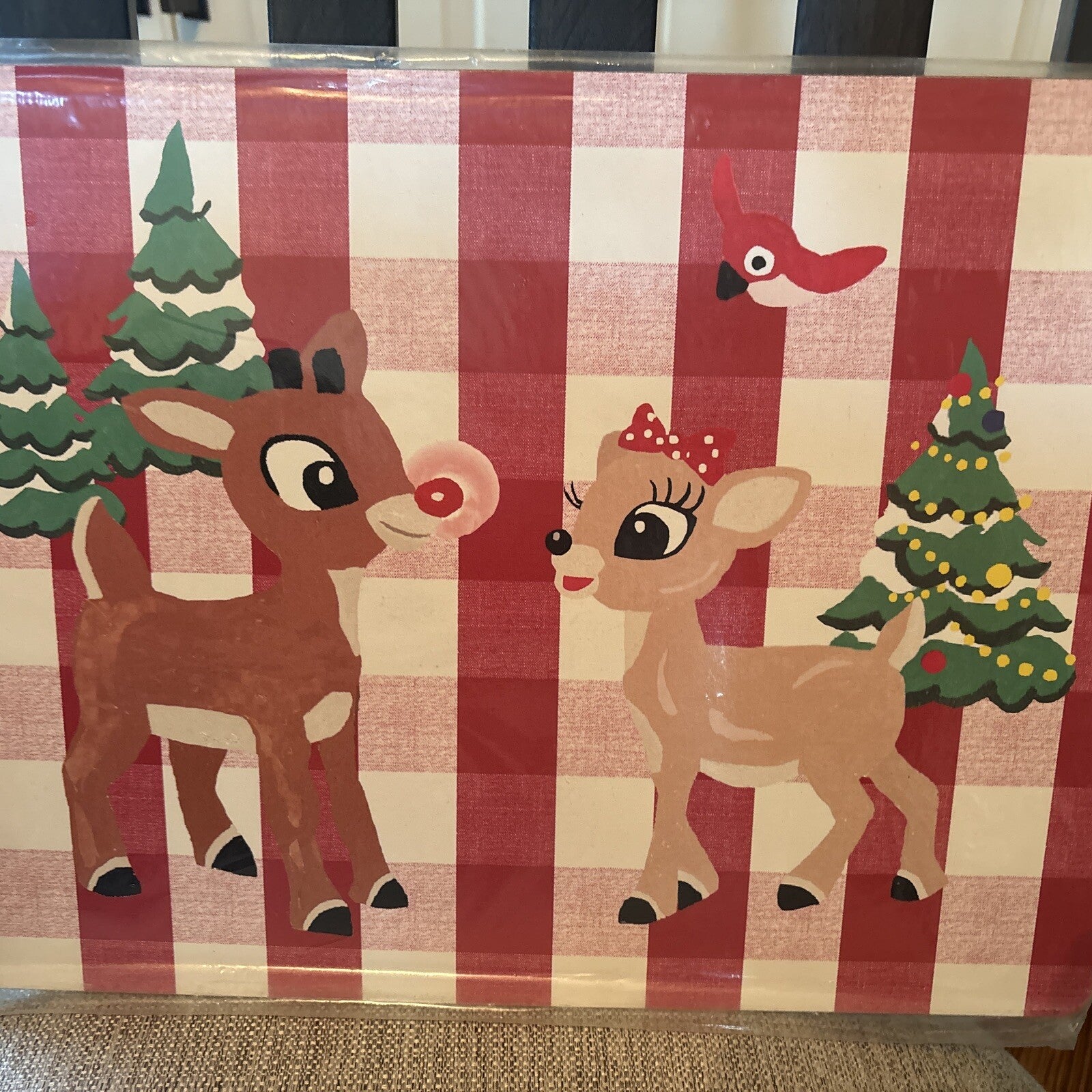Rudolph holiday Pottery Barn placemat Disney gift sport party school Deer kid n