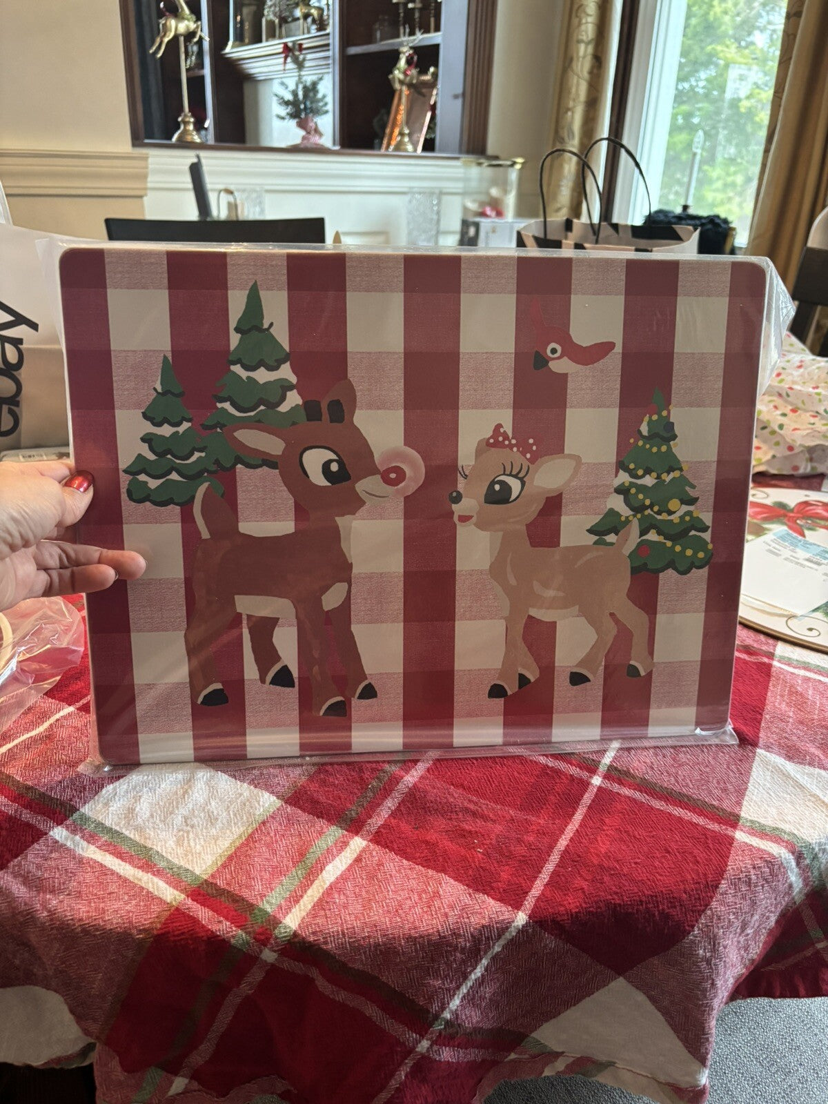 Rudolph holiday Pottery Barn placemat Disney gift sport party school Deer kid n