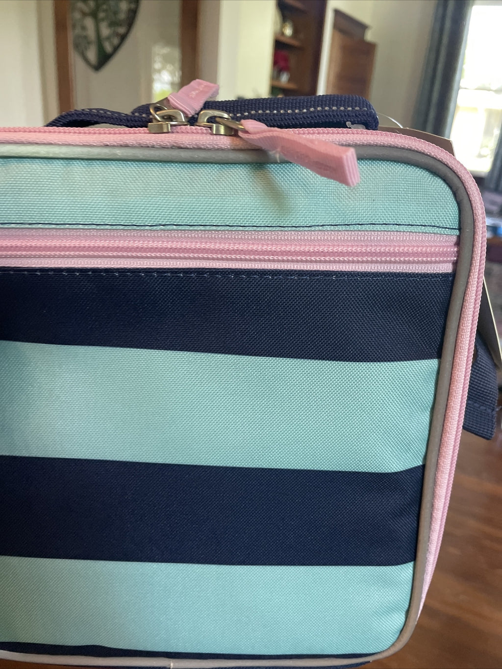 Pottery Barn  School  LUNCH BOX BAg disney travel princess stripe girl pink  =