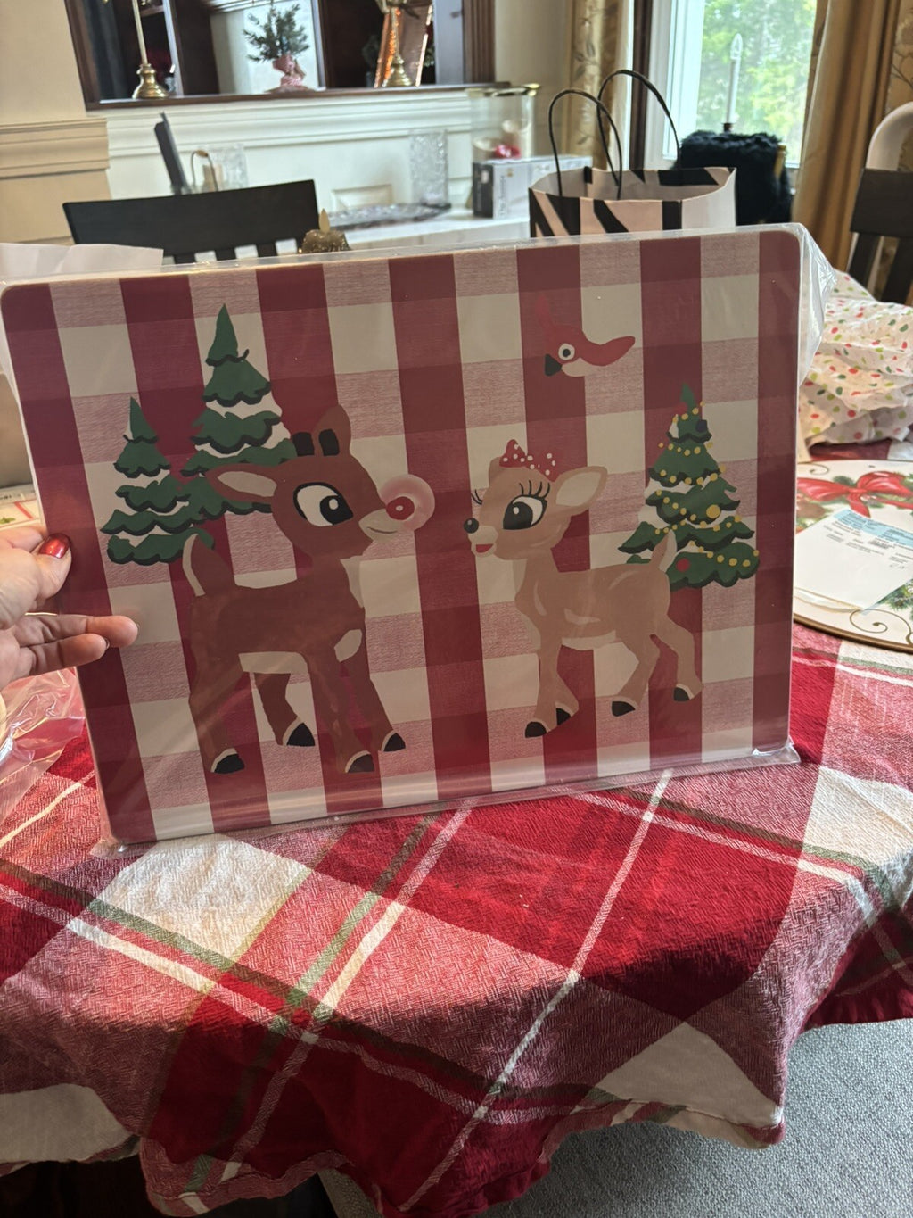 Rudolph holiday Pottery Barn placemat Disney gift sport party school Deer kid n