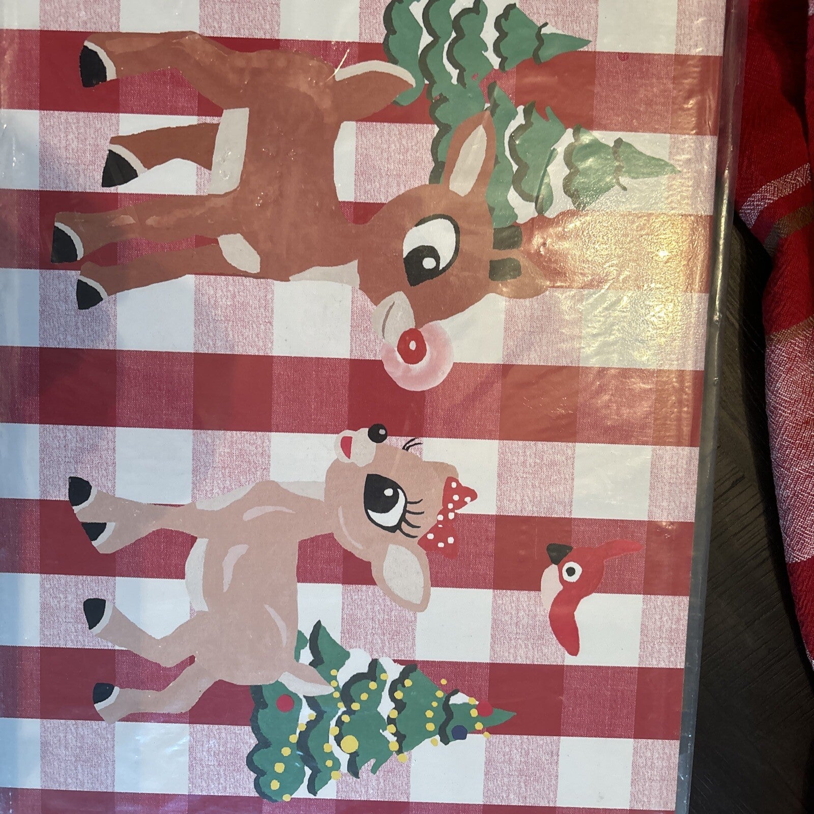 Rudolph holiday Pottery Barn placemat Disney gift sport party school Deer kid n