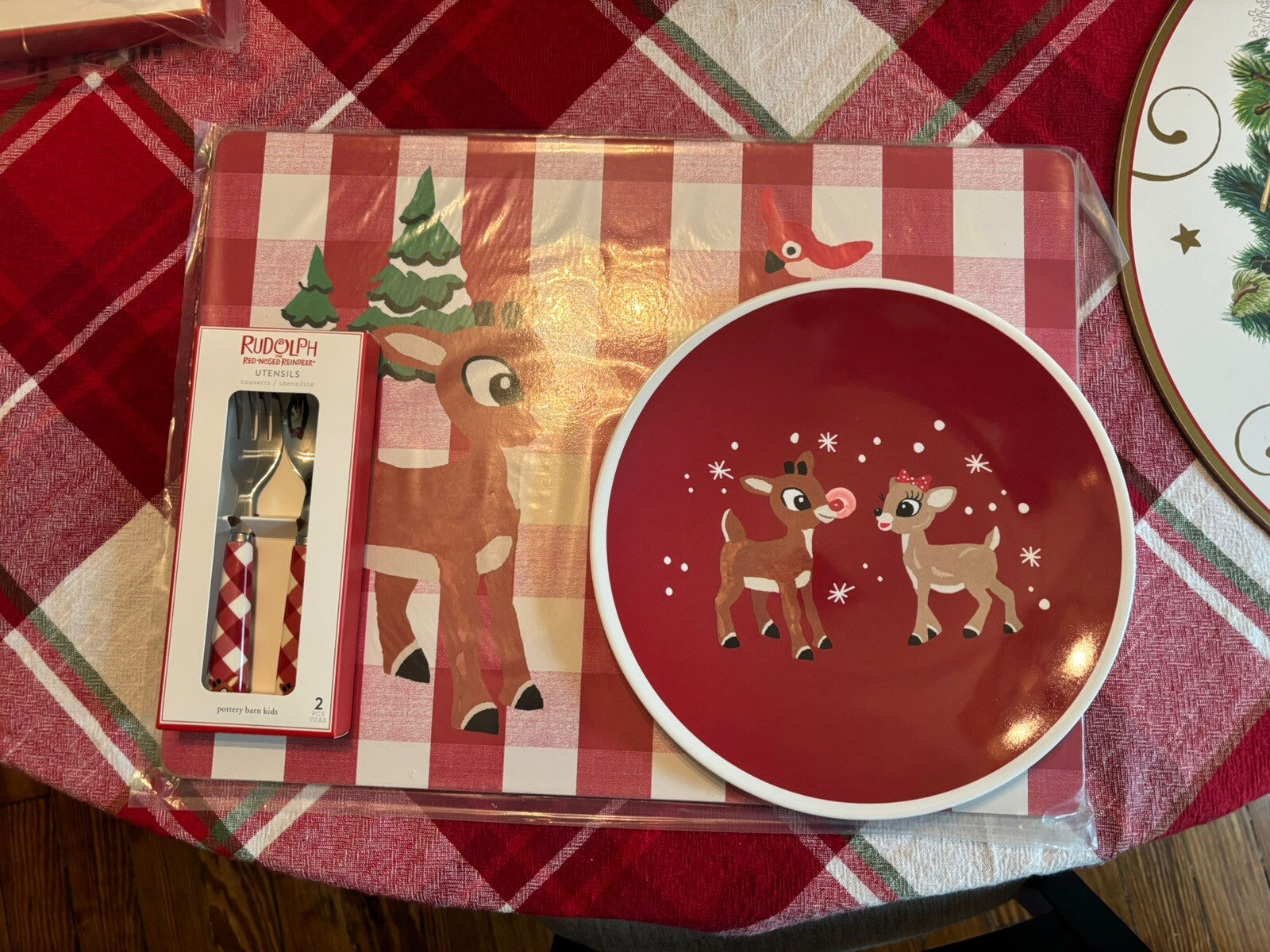 Rudolph holiday Pottery Barn placemat Disney gift sport party school Deer kid n