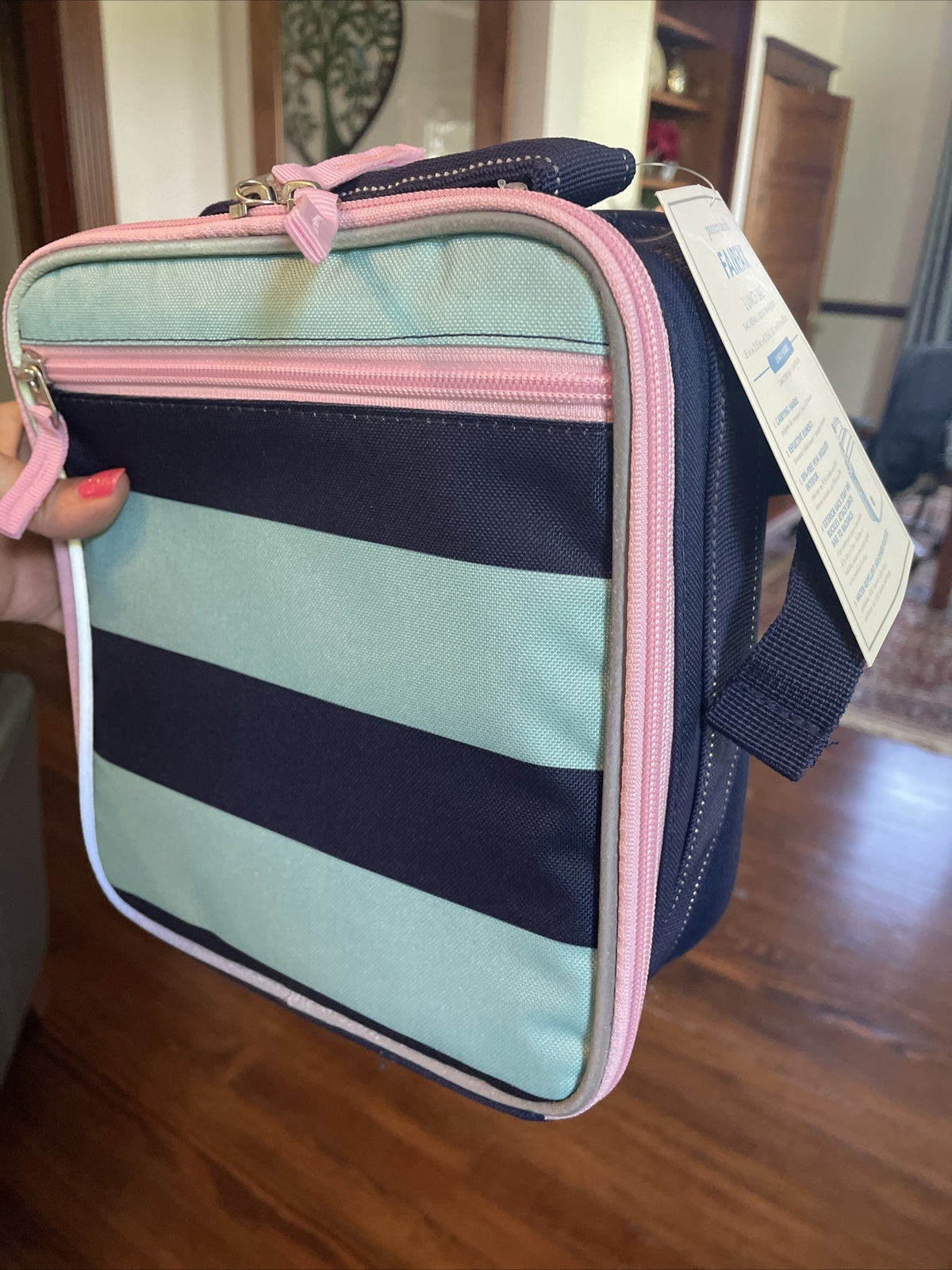 Pottery Barn  School  LUNCH BOX BAg disney travel princess stripe girl pink  =