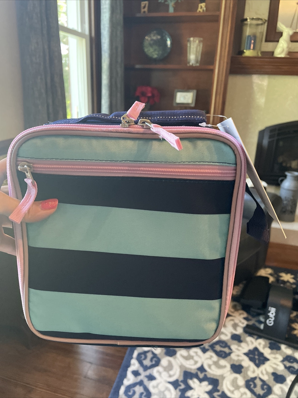 Pottery Barn  School  LUNCH BOX BAg disney travel princess stripe girl pink  =