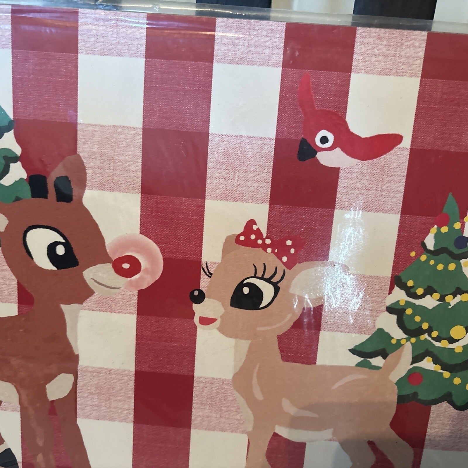 Rudolph holiday Pottery Barn placemat Disney gift sport party school Deer kid n