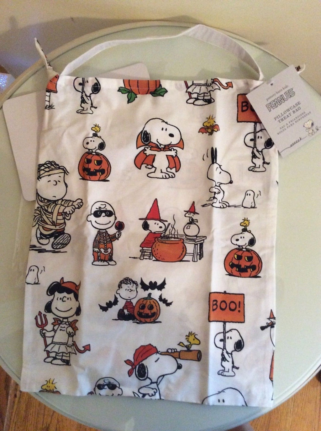 Snoopy Disney Pottery barn Halloween Treat bag holiday gift school Pillowcase  =