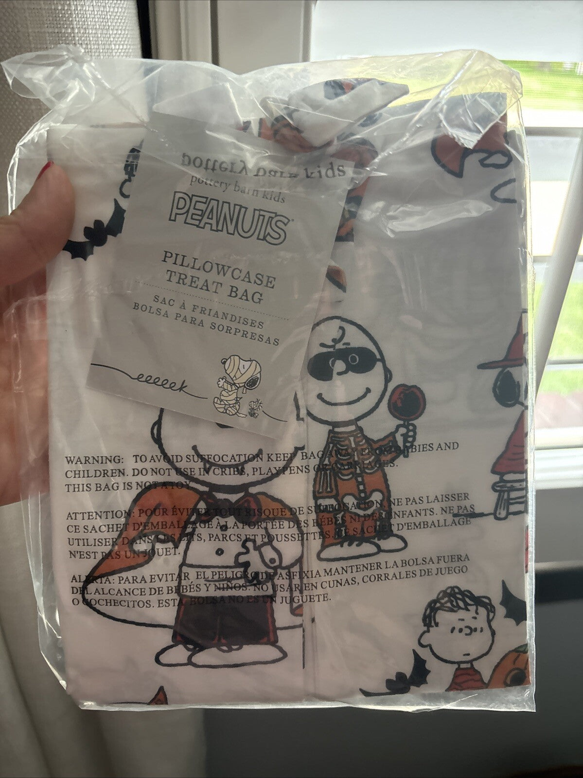 Snoopy Disney Pottery barn Halloween Treat bag holiday gift school Pillowcase  =