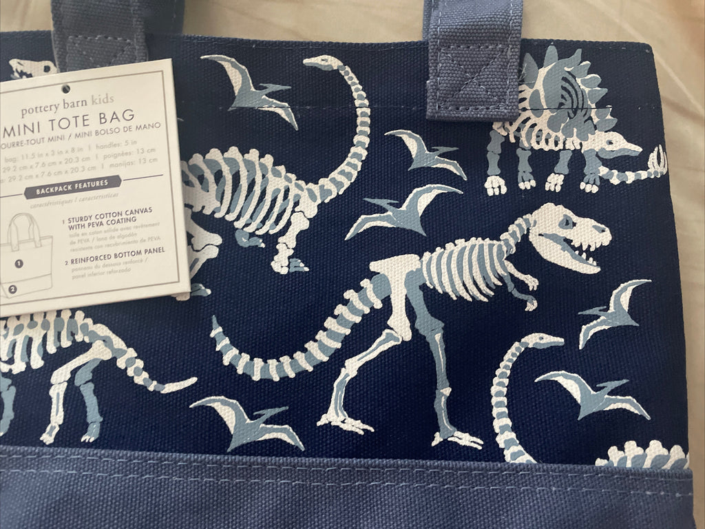 Pottery Barn School Disney mini BAG pool party kindergarten pre k dinosaur boy .