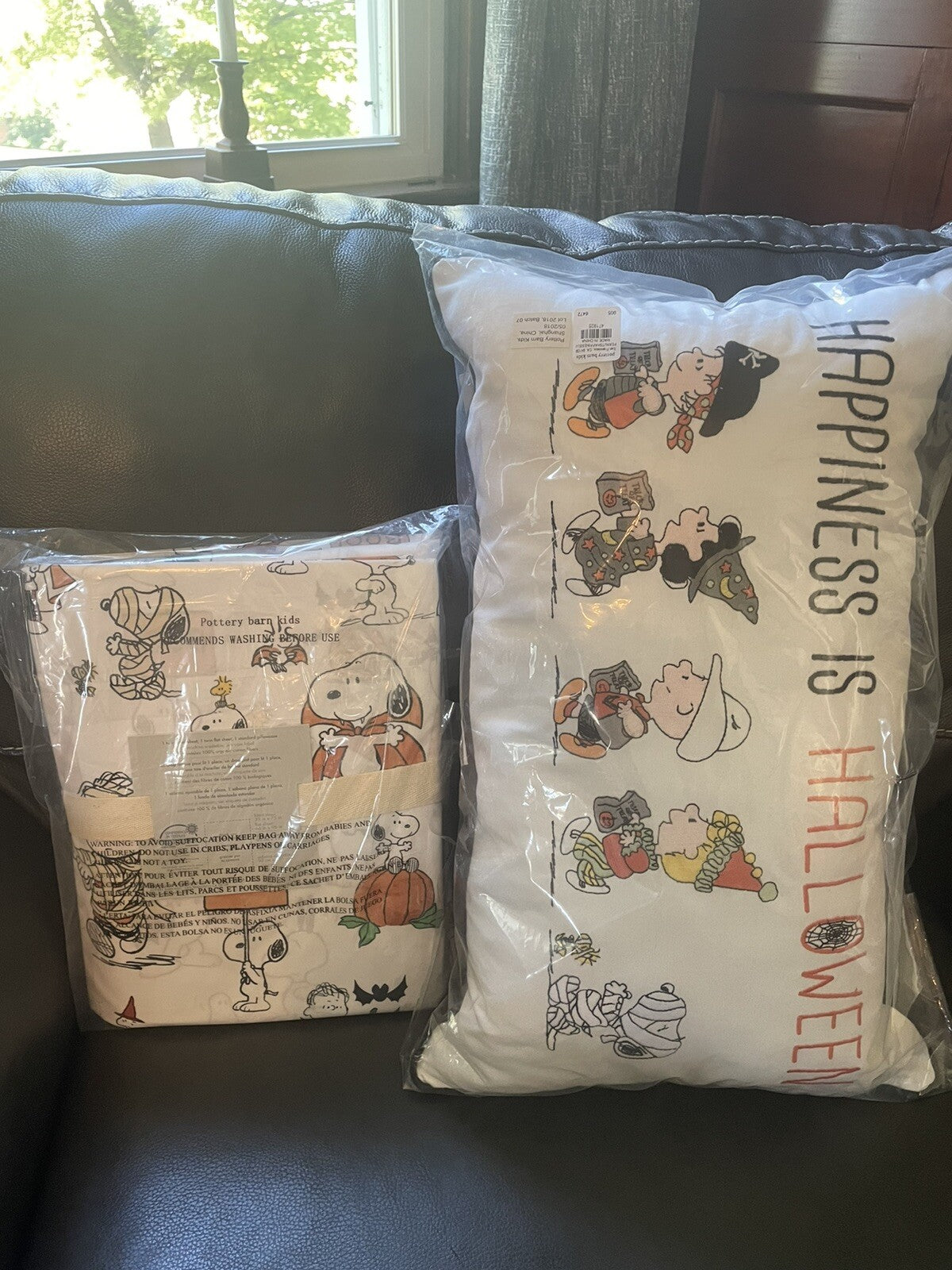 Snoopy Pottery Barn Peanuts HOLIDAY PILLOW SHEET SET Disney halloween kid gift ]