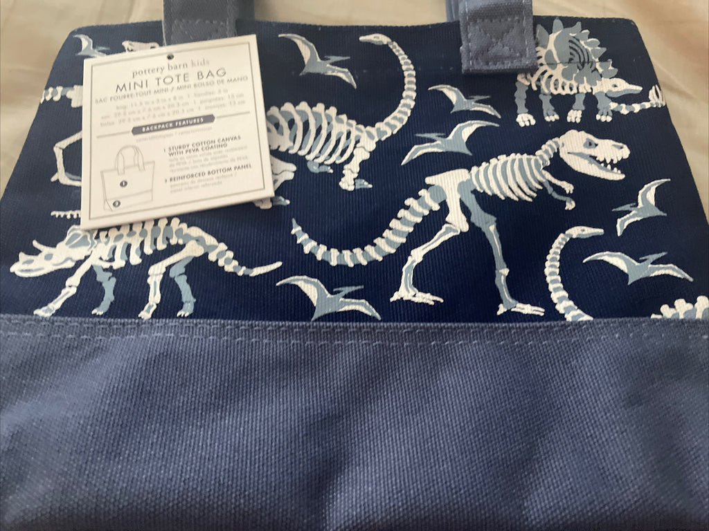 Pottery Barn School Disney mini BAG pool party kindergarten pre k dinosaur boy .