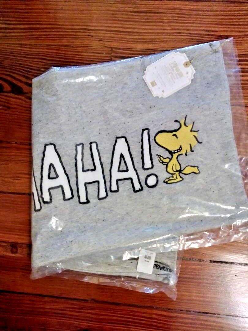 Snoopy Disney Pottery barn holiday Sham peanuts pillow cover gift Dorm party "