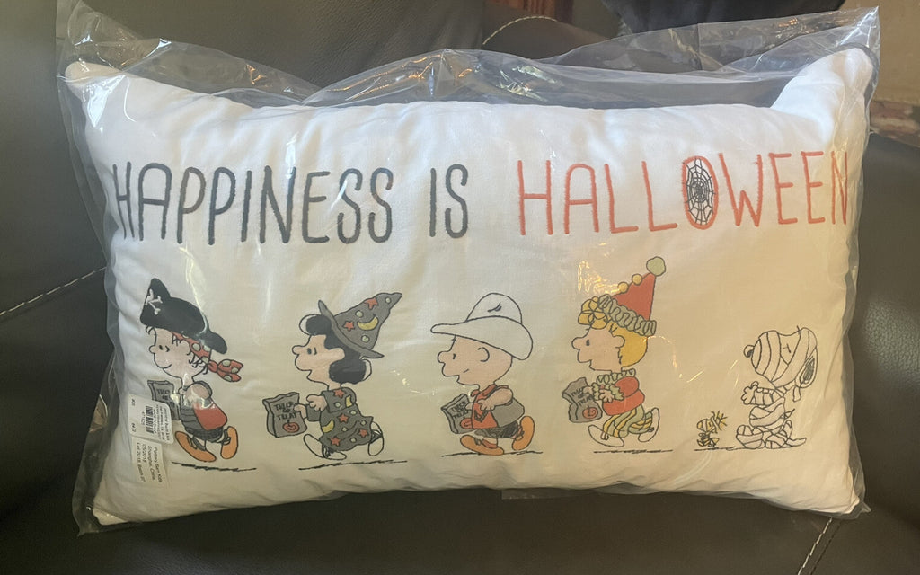 Snoopy Pottery Barn Peanuts HOLIDAY PILLOW SHEET SET Disney halloween kid gift ]