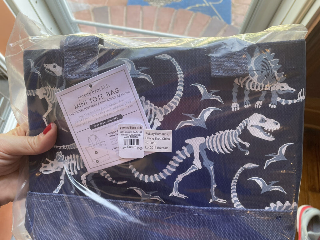 Pottery Barn School Disney mini BAG pool party kindergarten pre k dinosaur boy .