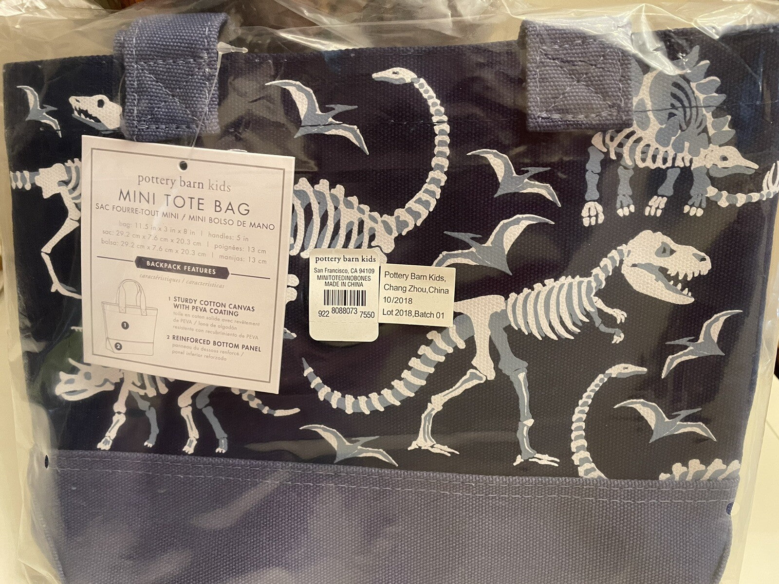 Pottery Barn School Disney mini BAG pool party kindergarten pre k dinosaur boy .