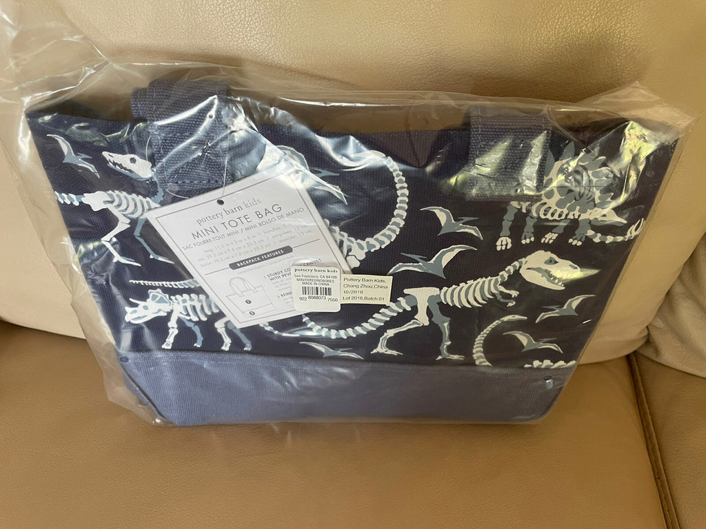 Pottery Barn School Disney mini BAG pool party kindergarten pre k dinosaur boy .