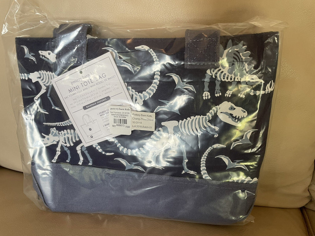 Pottery Barn School Disney mini BAG pool party kindergarten pre k dinosaur boy .