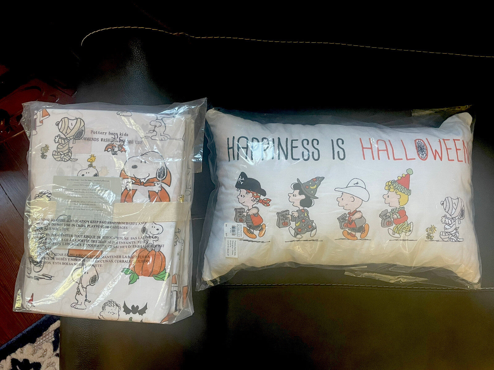 Snoopy Pottery Barn Peanuts HOLIDAY PILLOW SHEET SET Disney halloween kid gift ]
