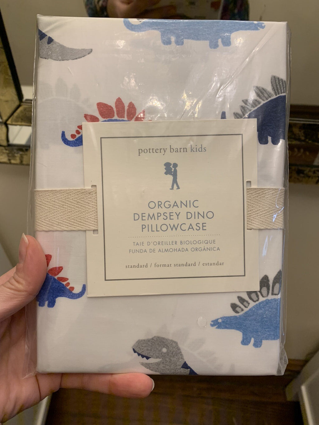 pottery barn Disney Dinosaur Holiday school gift space boy party Pillowcase "