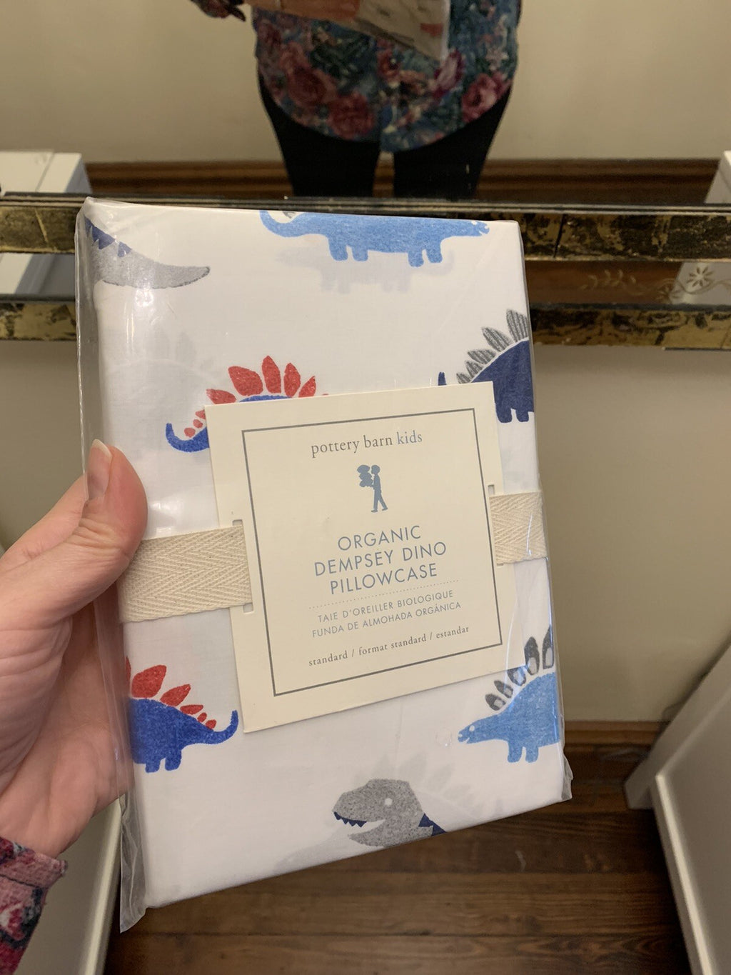 pottery barn Disney Dinosaur Holiday school gift space boy party Pillowcase "