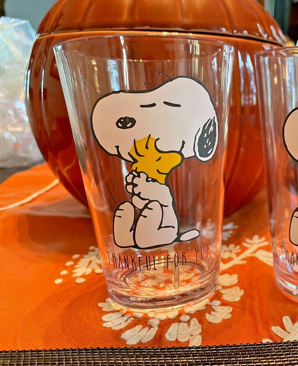 Pottery Barn snoopy Disney Holiday peanuts school Cup Party Birthday dog SET 2