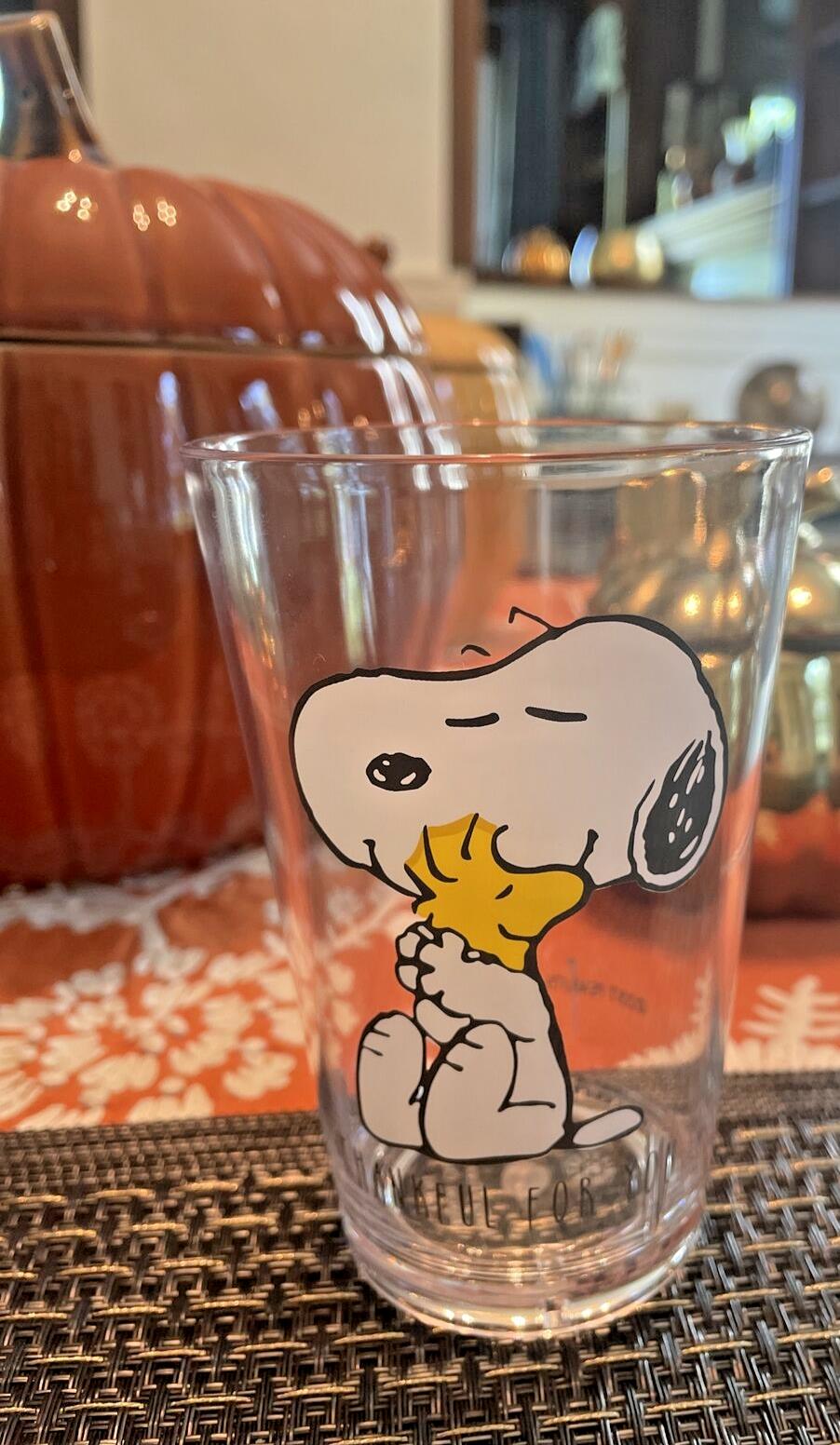 Pottery Barn snoopy Disney Holiday peanuts school Cup Party Birthday dog SET 2