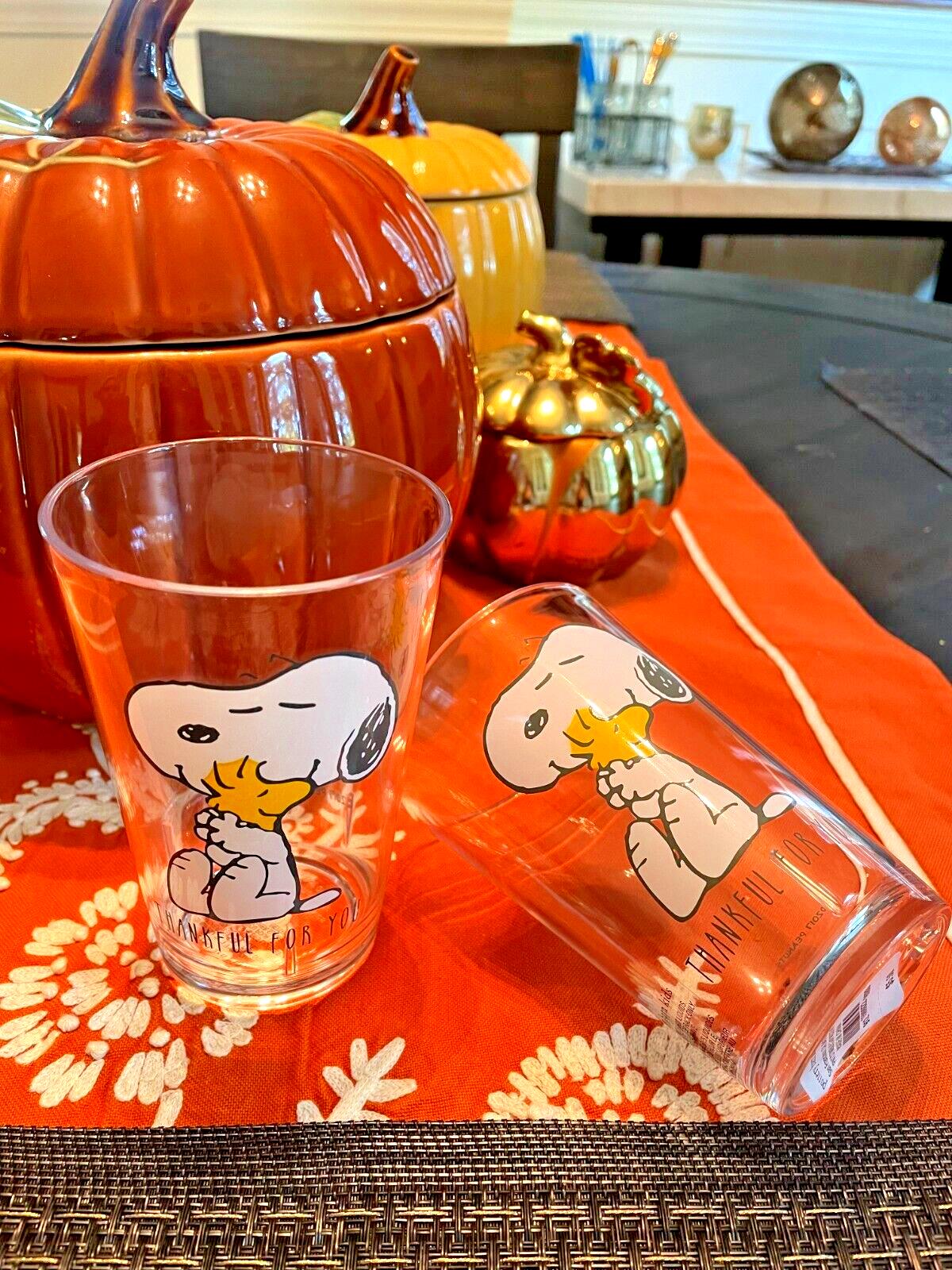 Pottery Barn snoopy Disney Holiday peanuts school Cup Party Birthday dog SET 2