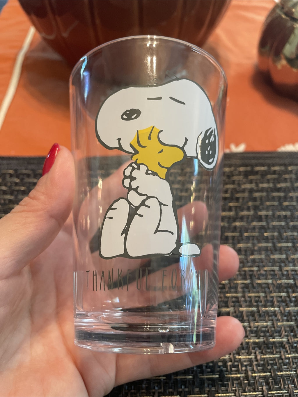 Pottery Barn snoopy Disney Holiday peanuts school Cup Party Birthday dog SET 2