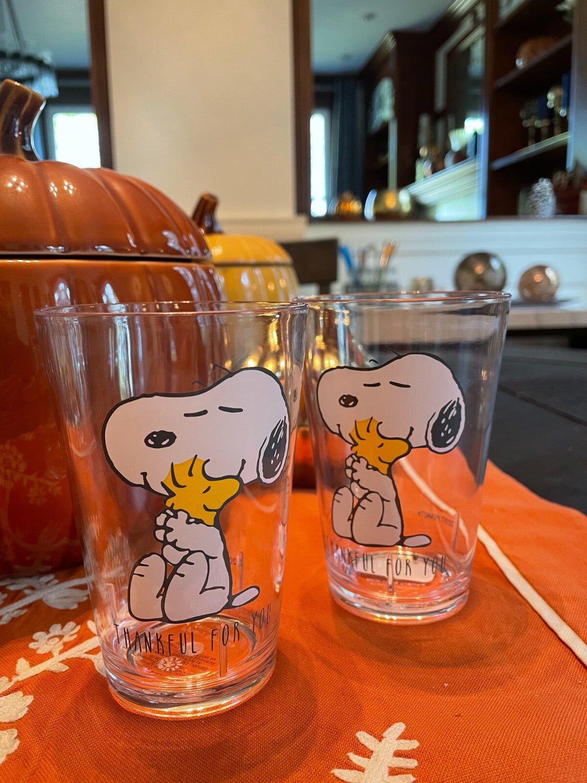Pottery Barn snoopy Disney Holiday peanuts school Cup Party Birthday dog SET 2
