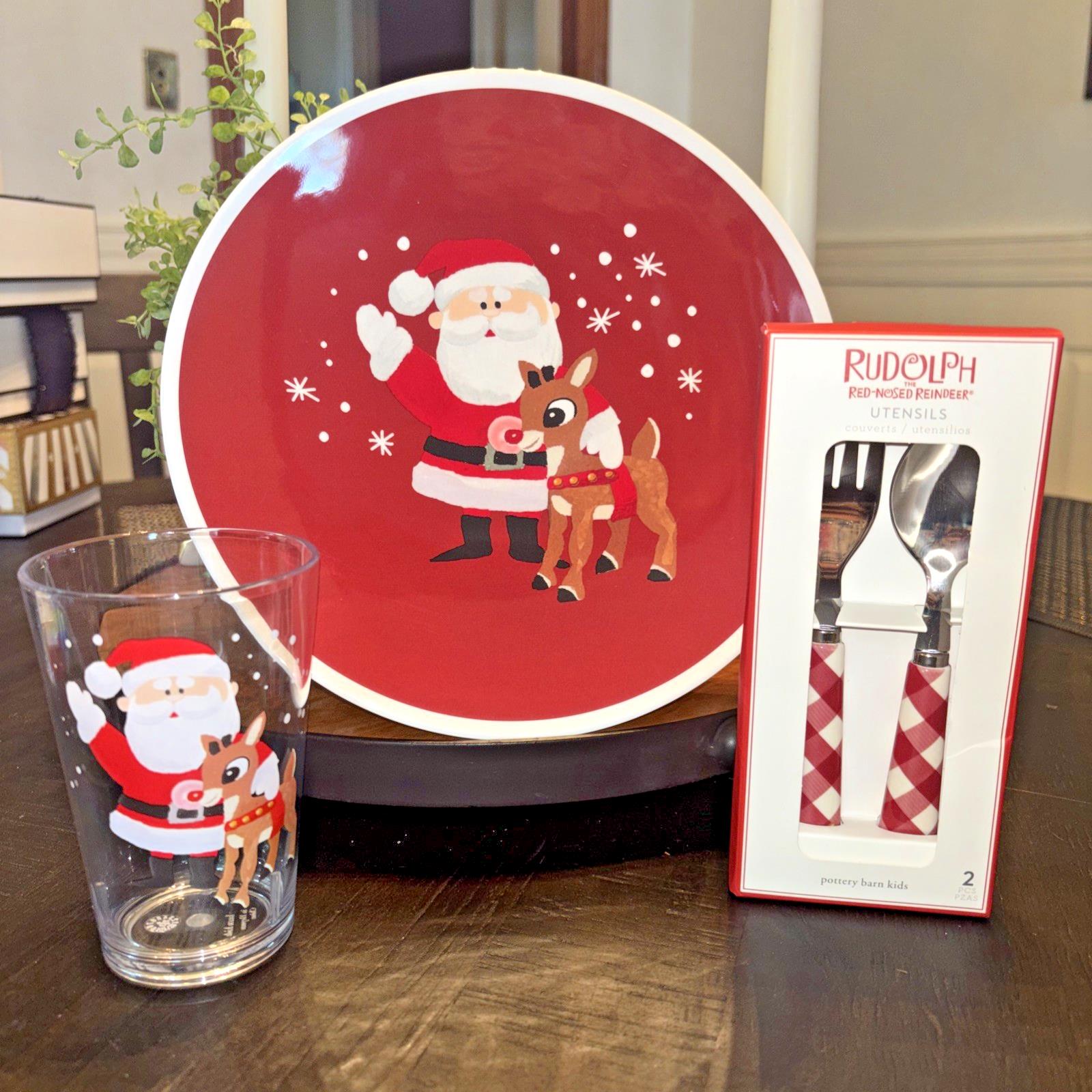 Pottery Barn Rudolph holiday Santa Christmas PLATE CUP UTENSIL Plaid party SET