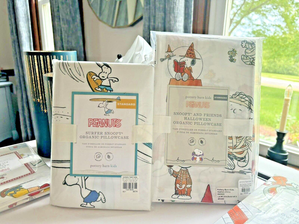 Snoopy Pottery Barn School peanuts Pillowcase Halloween Holiday+surf Dog SET 2 =