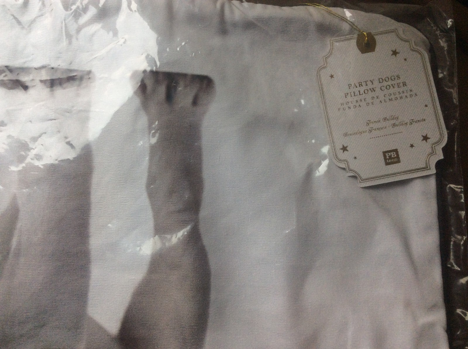 pottery barn pillow cover sham Disney dog holiday party teen gift Christmas ,/