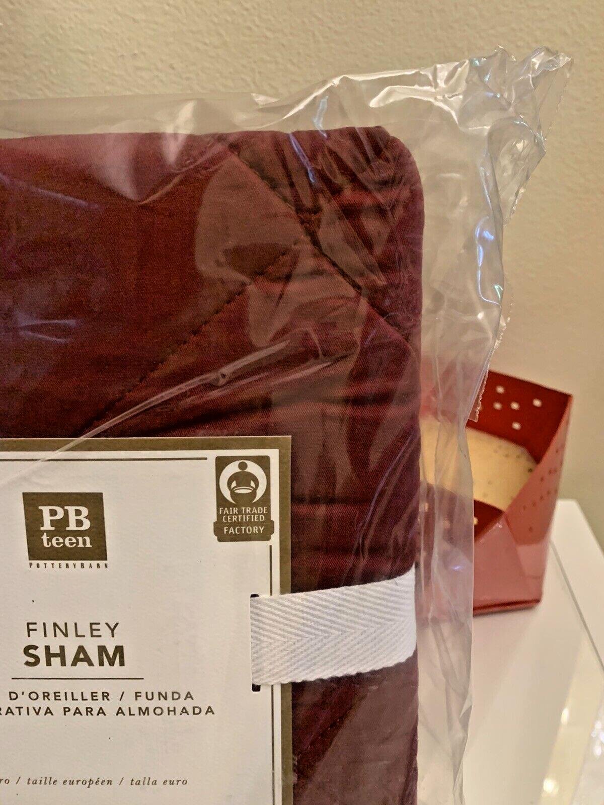 Pottery barn Pillow Sham Disney EURO Holiday party Christmas gift school kid [