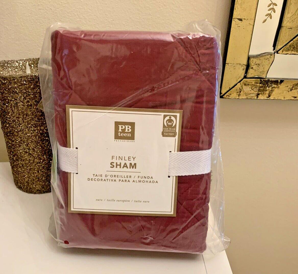 Pottery barn Pillow Sham Disney EURO Holiday party Christmas gift school kid [
