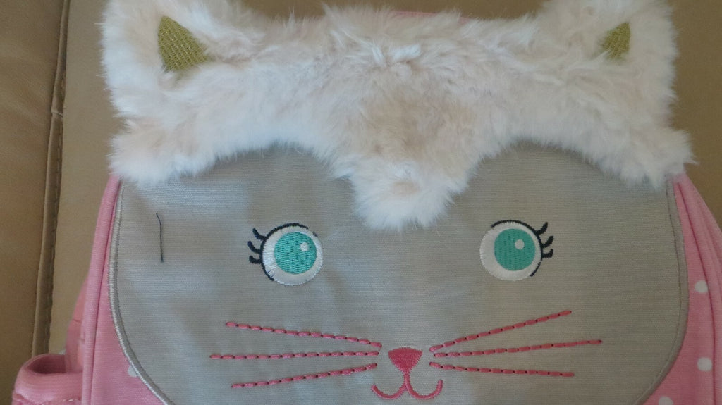 School Pottery barn pre k Disney mini Backpack travel bag cat birthday kid ?? ..