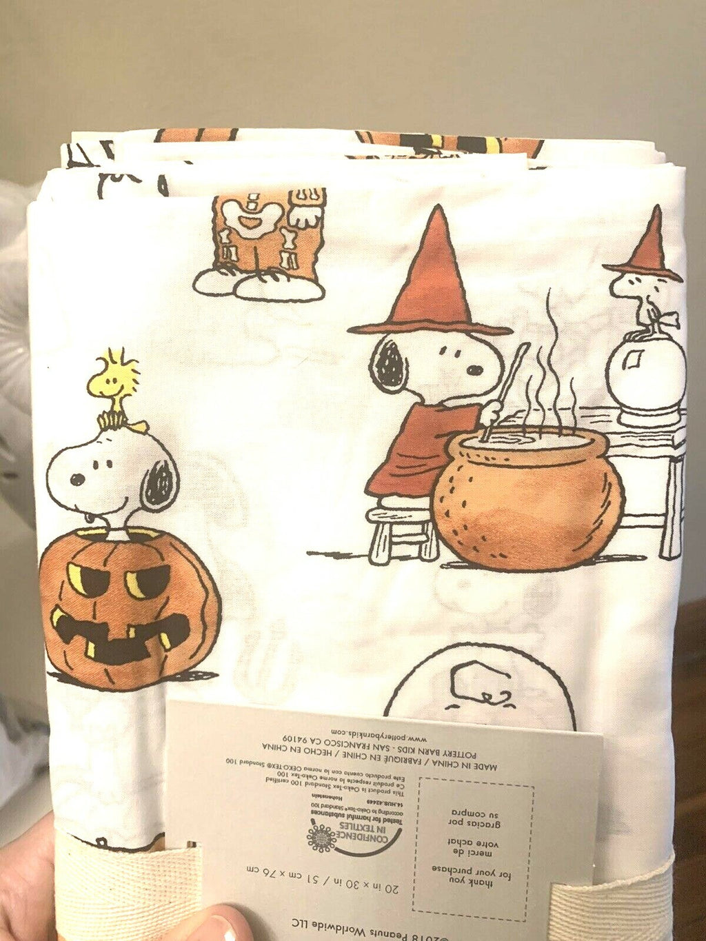 Snoopy Peanuts Pottery Barn Holiday pillowcase School Halloween Disney dog kid "