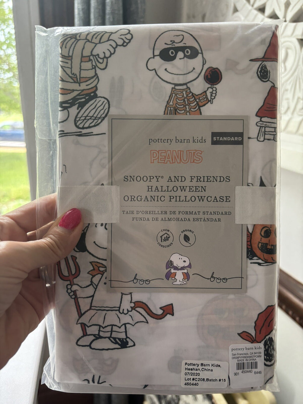 Snoopy Peanuts Pottery Barn Holiday pillowcase School Halloween Disney dog kid "