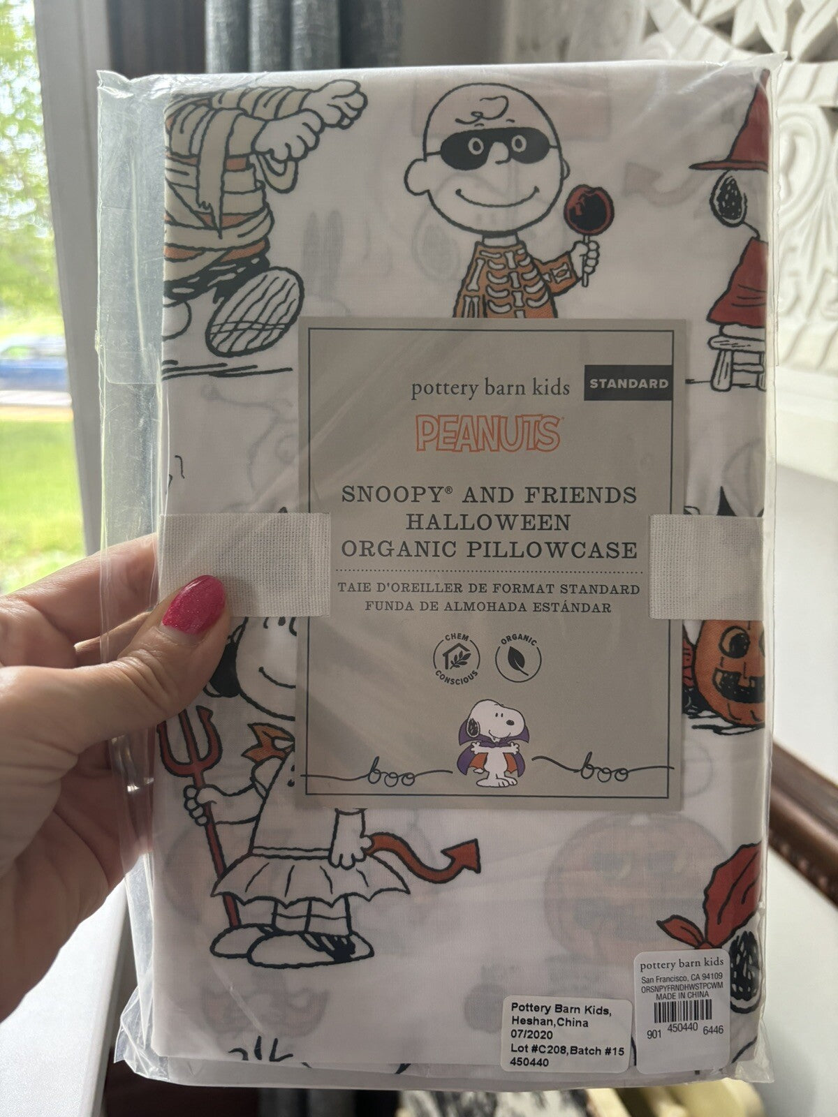 Snoopy Peanuts Pottery Barn Holiday pillowcase School Halloween Disney dog kid "