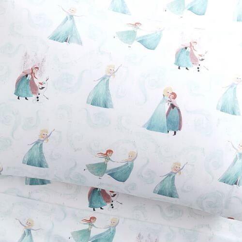 Pottery Barn Frozen Disney princess Elsa pillowcase + Sham holiday gift SET 2