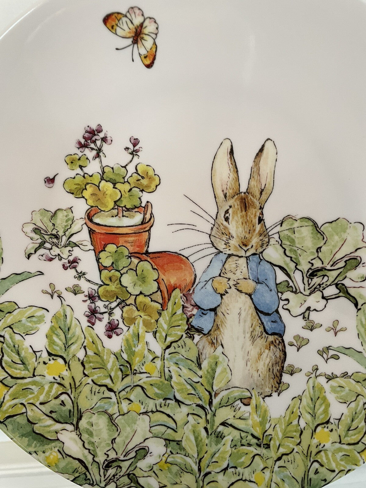Disney Pottery Barn PLATE Peter rabbit Easter holiday Party BUNNY kid SET 4 a